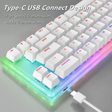 Womier K66 USB Hotswap RGB Mechanical Keyboard