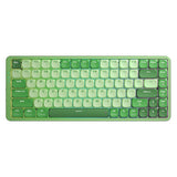 REDRAGON TL84 Low Profile Mechanical Keyboard