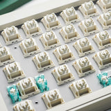 CIDOO V65 V3 Three Mode VIA Mechanical Keyboard mechkeysshop 