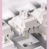 Akko MOD007B Gasket Mechanical Keyboard