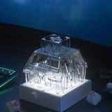 Kailh Switches Storage Box Base mechkeysshop 