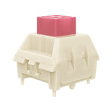 Kailh Switches Storage Box mechkeysshop 