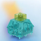 Kailh Switches Storage Box mechkeysshop 