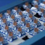 Kailh Whale Ocean Silent Pro Box Switches mechkeysshop 
