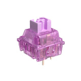 KTT Palahenopsis Tactile Switch mechkeysshop 45pcs 