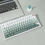 RECCAZR Side Printed OEM Translucidus Keycaps mechkeysshop Green 